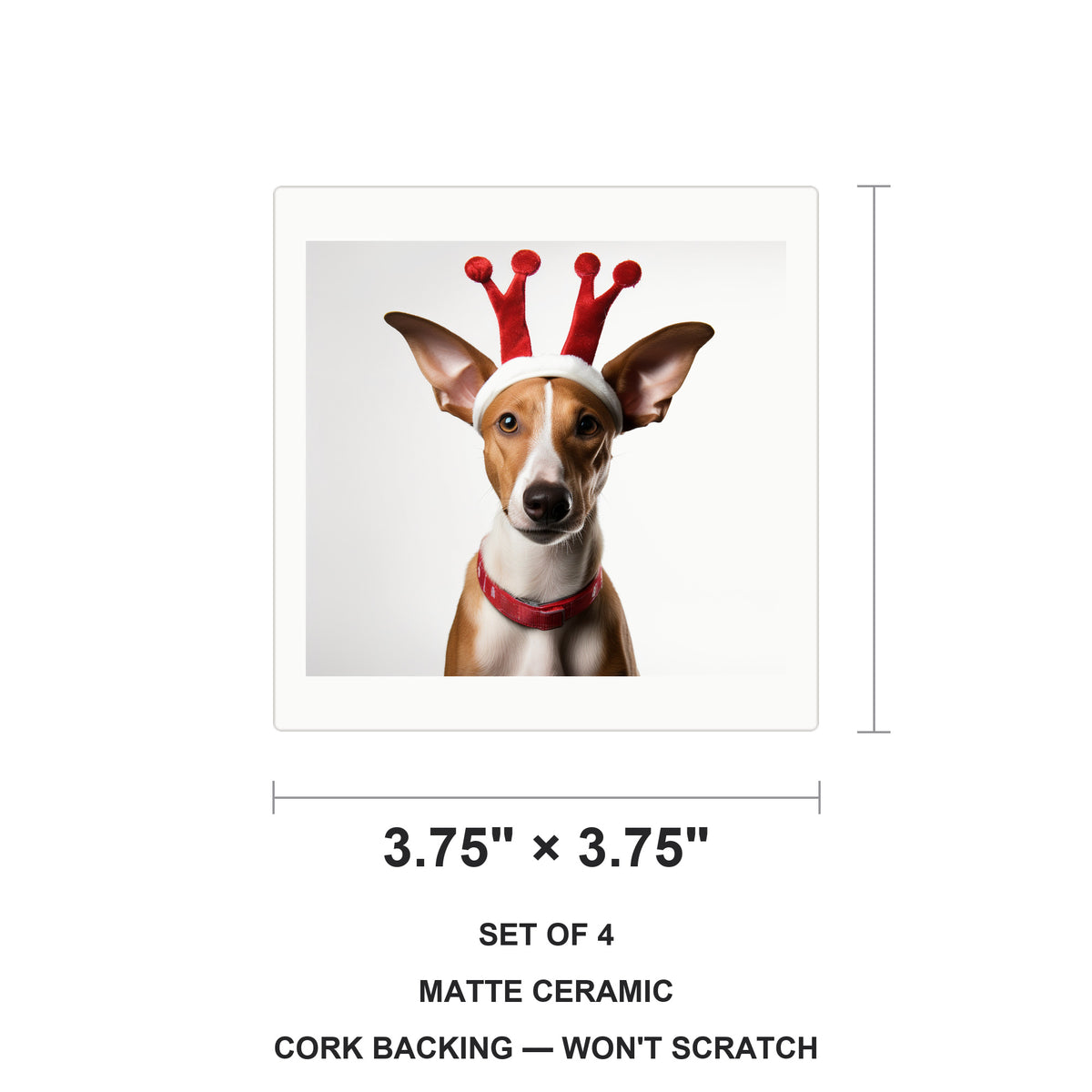 Ibizan Hound ceramic coasters set of 4, size 3.75 inches