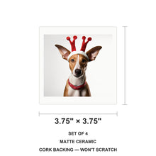 Ibizan Hound ceramic coasters set of 4, size 3.75 inches