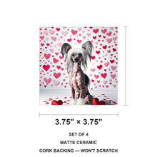 Chinese Crested ceramic coasters set of 4, size 3.75 inches