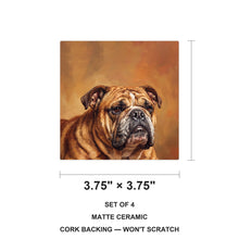 English Bulldog Portrait ceramic coasters set of 4, size 3.75 inches