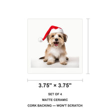 Biewer Terrier ceramic coasters set of 4, size 3.75 inches