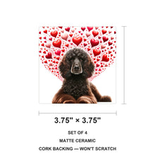 Irish Water Spaniel ceramic coasters set of 4, size 3.75 inches