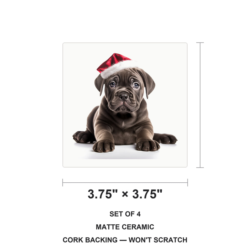 Cane Corso Puppy ceramic coasters set of 4, size 3.75 inches