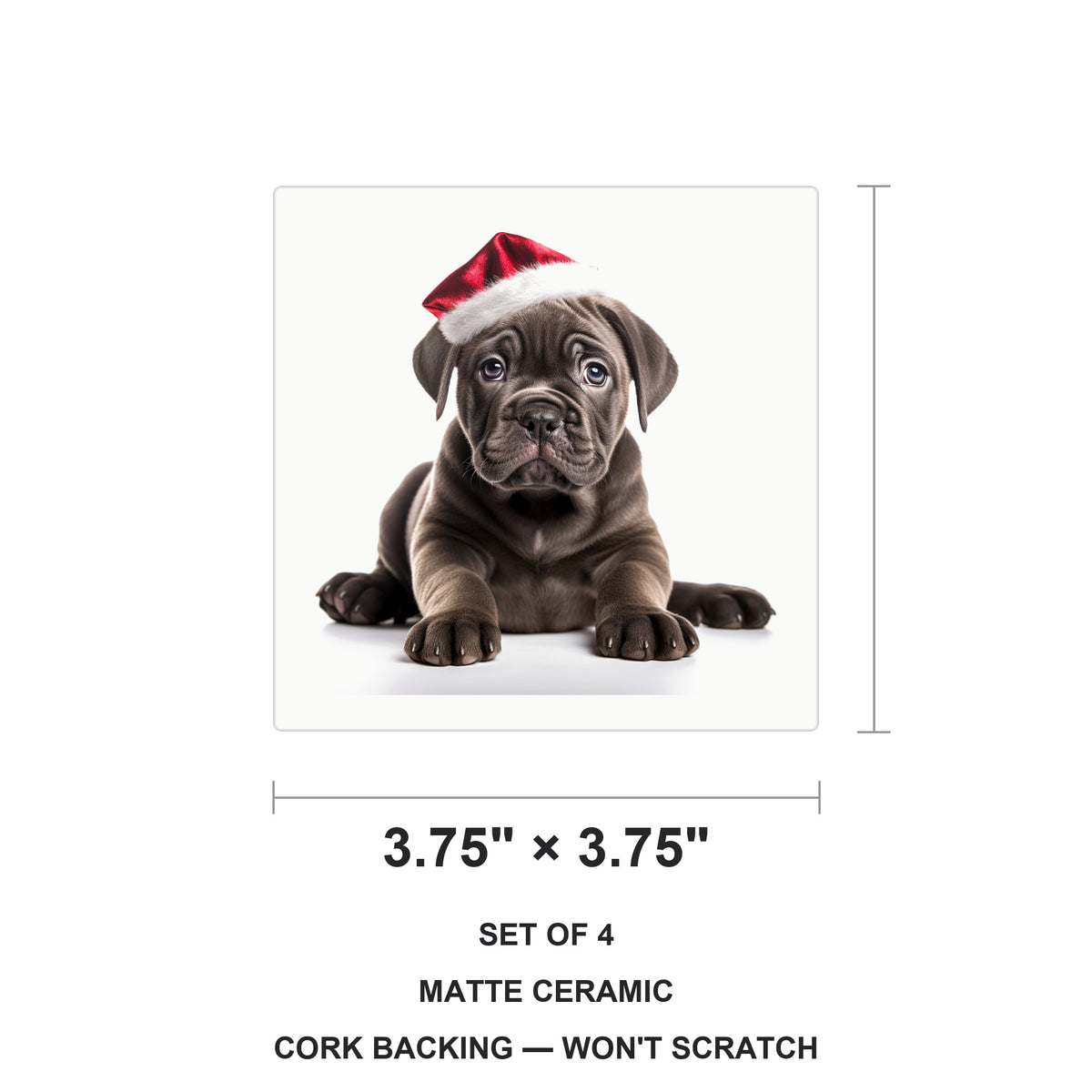 Cane Corso Puppy ceramic coasters set of 4, size 3.75 inches