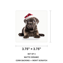 Cane Corso Puppy ceramic coasters set of 4, size 3.75 inches