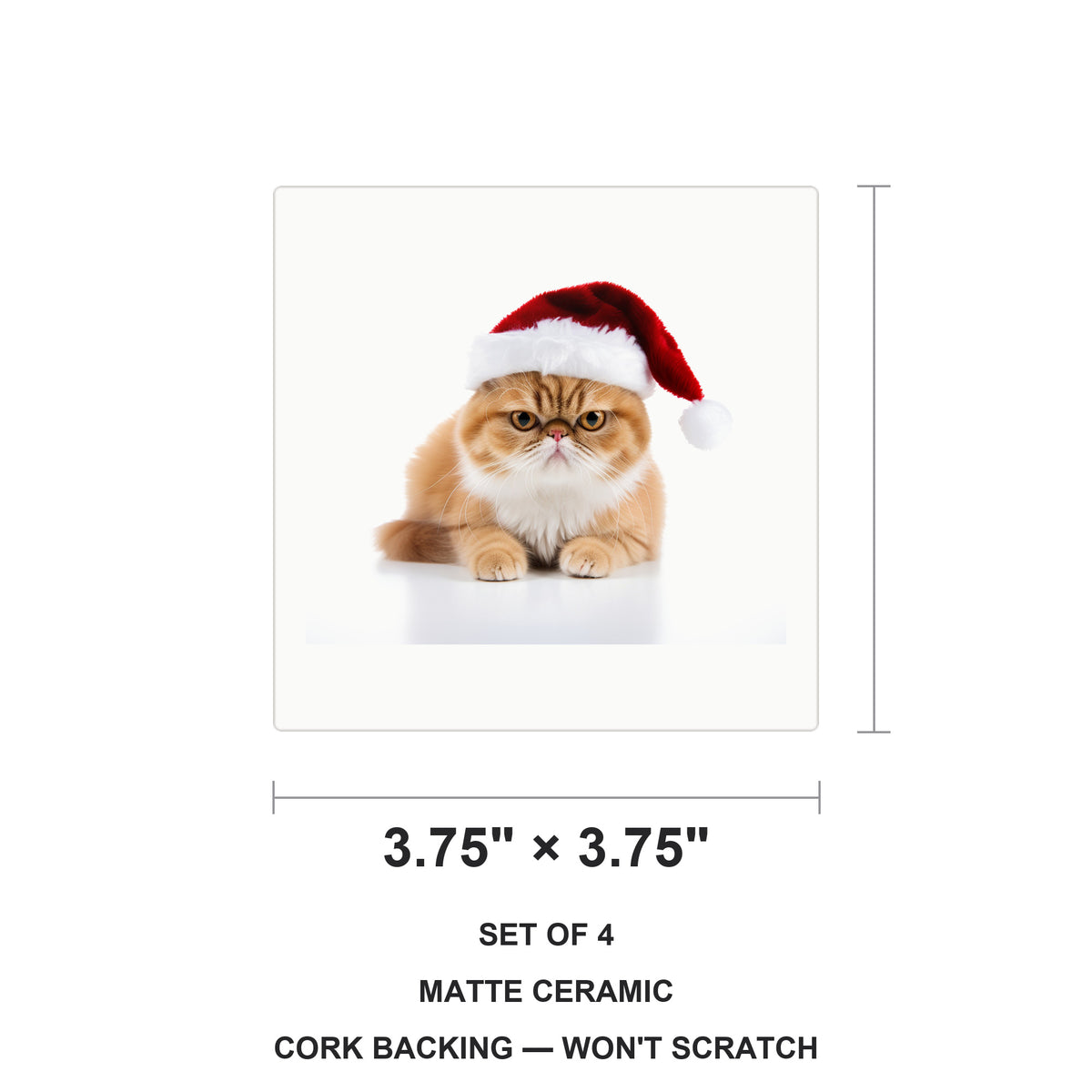 Exotic Shorthair Cat ceramic coasters set of 4, size 3.75 inches