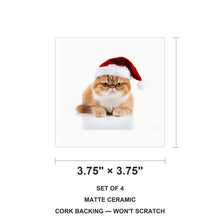 Exotic Shorthair Cat ceramic coasters set of 4, size 3.75 inches