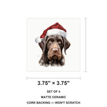 German Wirehaired Pointer Puppy Drawing ceramic coasters set of 4, size 3.75 inches