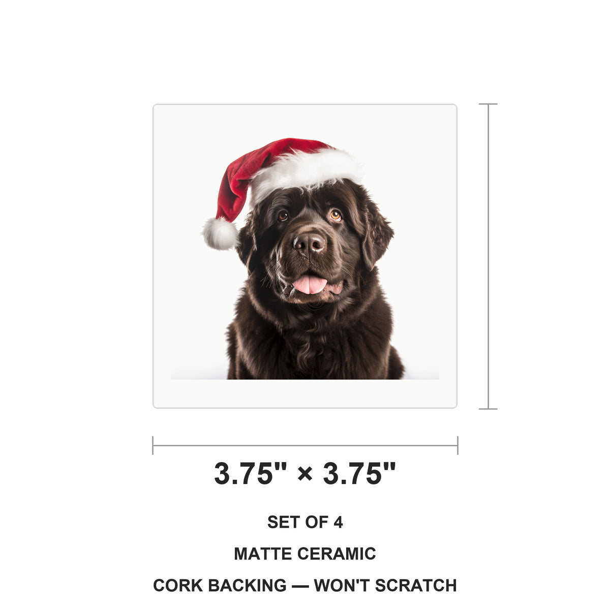 Newfoundland ceramic coasters set of 4, size 3.75 inches