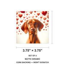 Vizsla ceramic coasters set of 4, size 3.75 inches