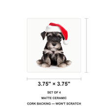 Standard Schnauzer Puppy ceramic coasters set of 4, size 3.75 inches