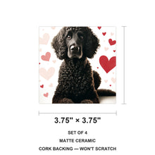 Standard Poodle ceramic coasters set of 4, size 3.75 inches