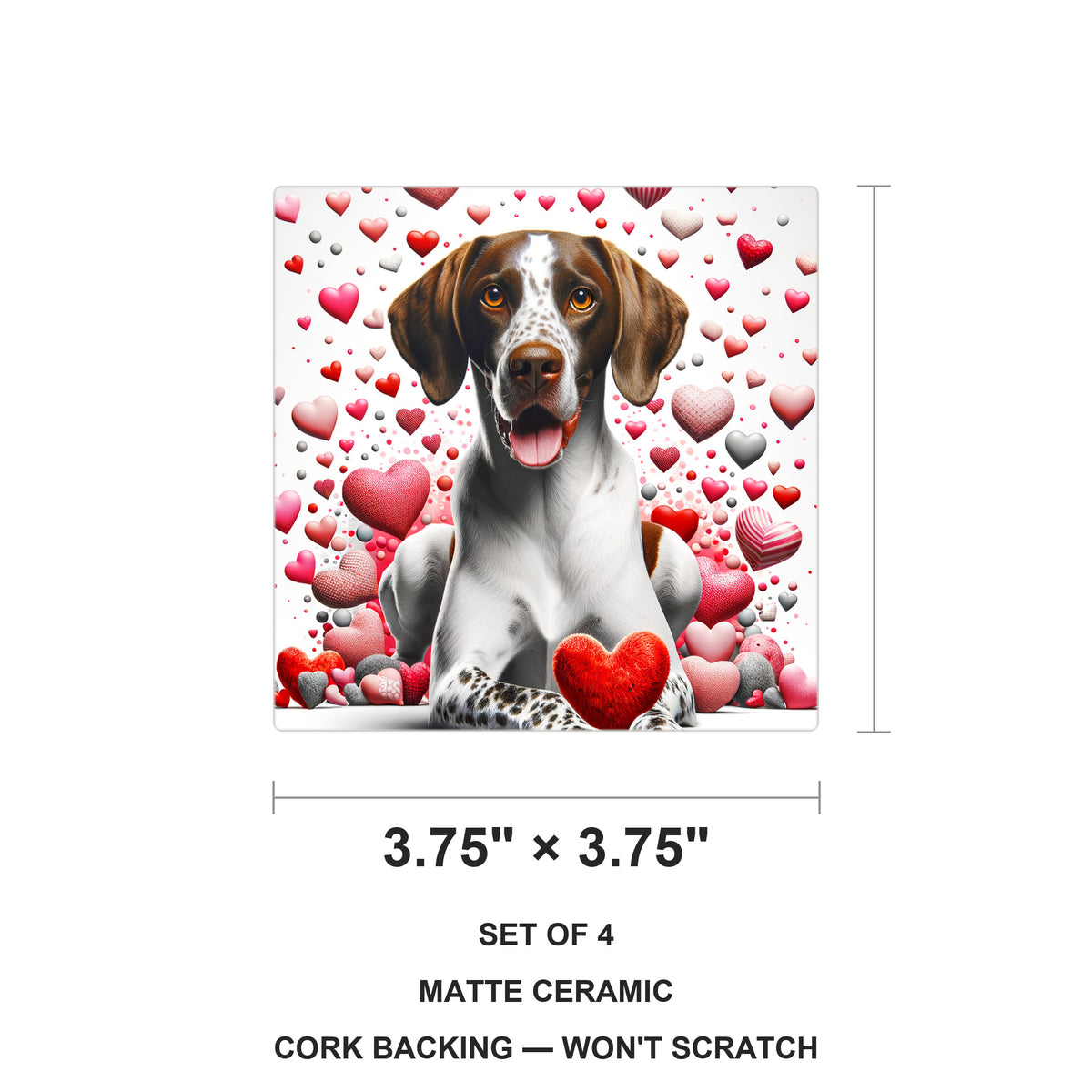 German Shorthaired Pointer ceramic coasters set of 4, size 3.75 inches