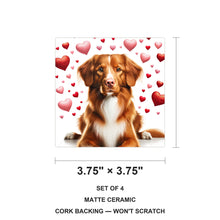 Nova Scotia Duck Tolling Retriever ceramic coasters set of 4, size 3.75 inches