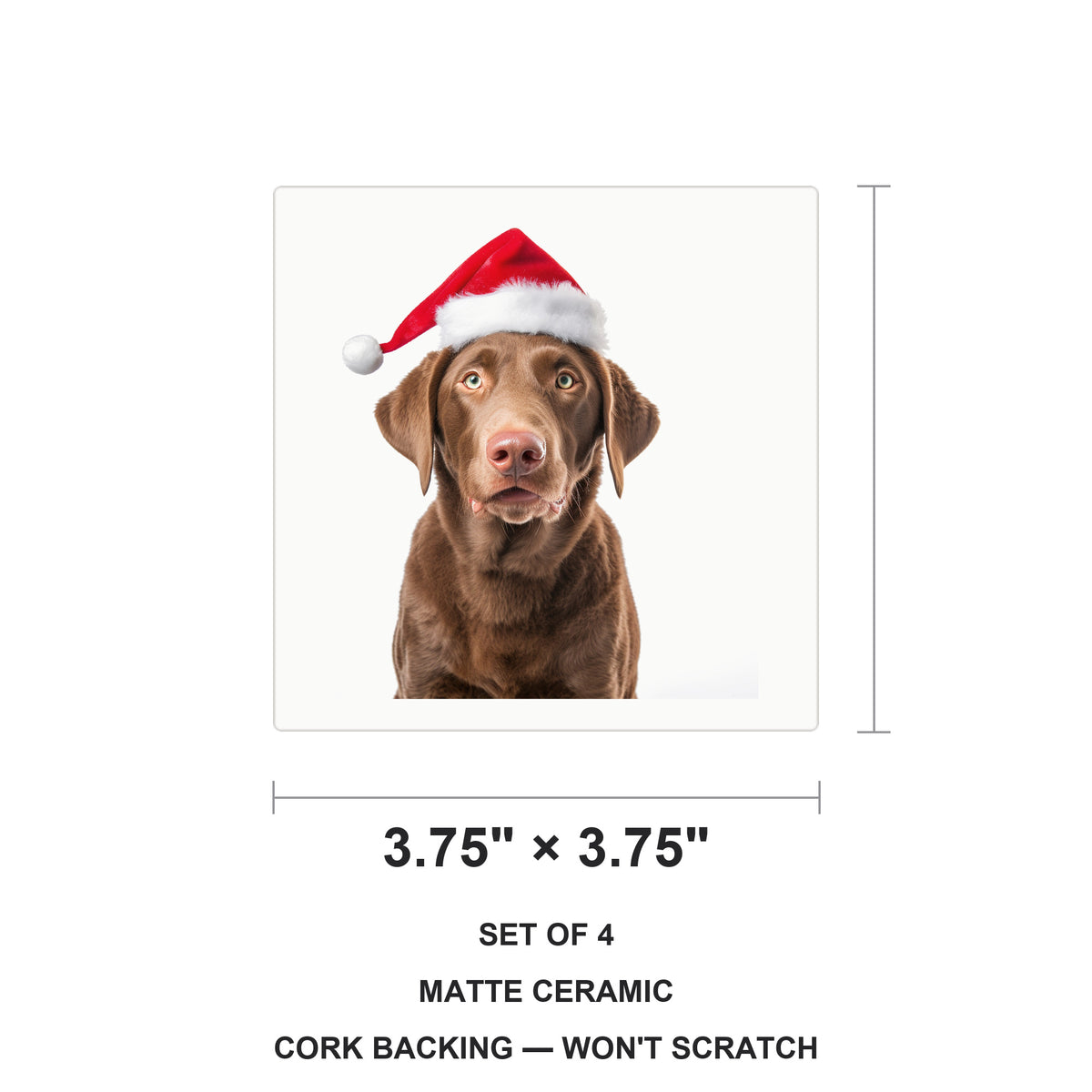 Chesapeake Bay Retriever ceramic coasters set of 4, size 3.75 inches