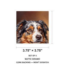 Australian Shepherd Portrait ceramic coasters set of 4, size 3.75 inches