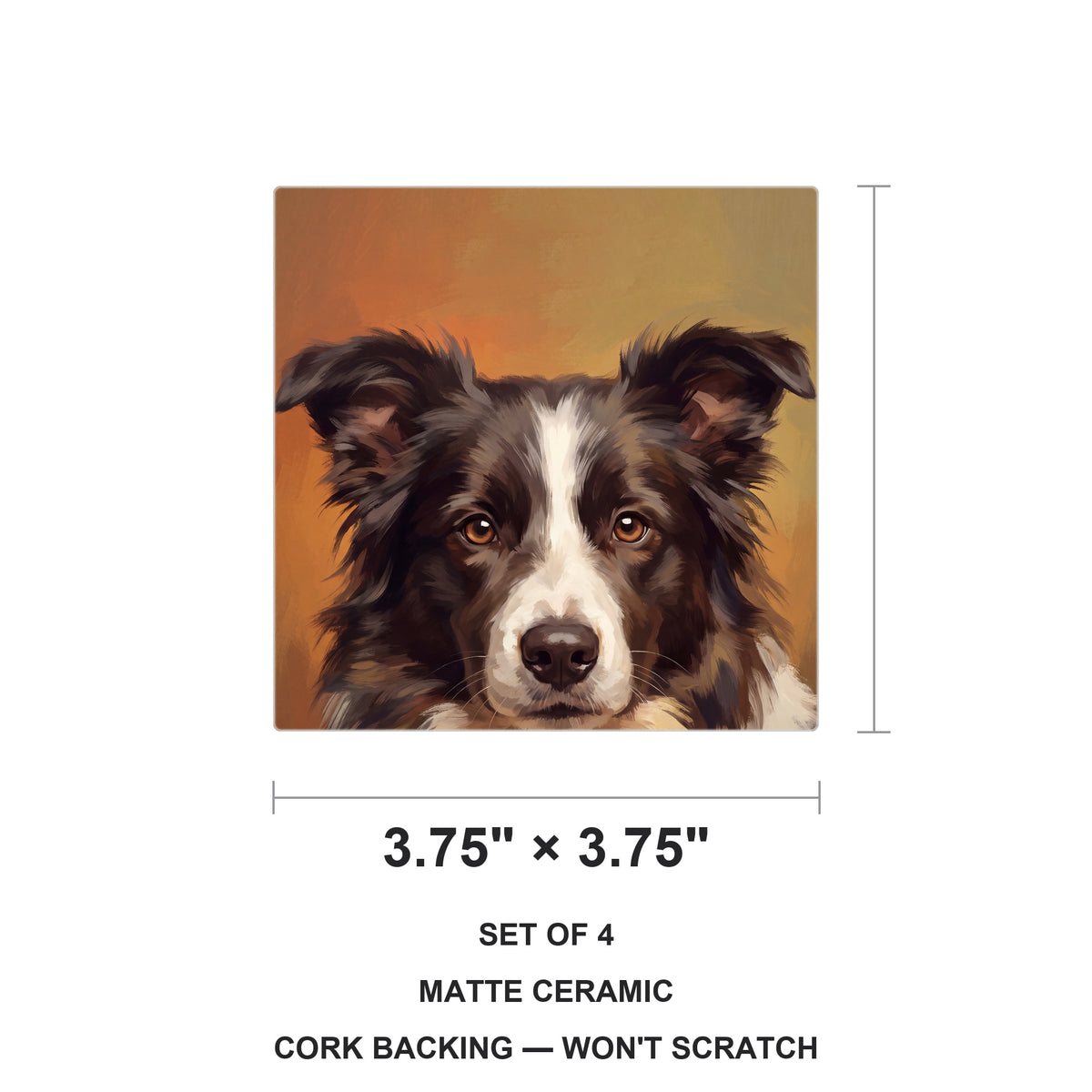 Border Collie Portrait ceramic coasters set of 4, size 3.75 inches