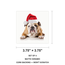 Bulldog ceramic coasters set of 4, size 3.75 inches