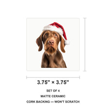 Wirehaired Vizsla ceramic coasters set of 4, size 3.75 inches