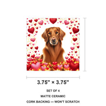 Golden Retriever ceramic coasters set of 4, size 3.75 inches