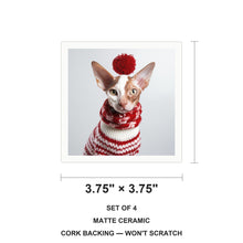 Cornish Rex Cat ceramic coasters set of 4, size 3.75 inches