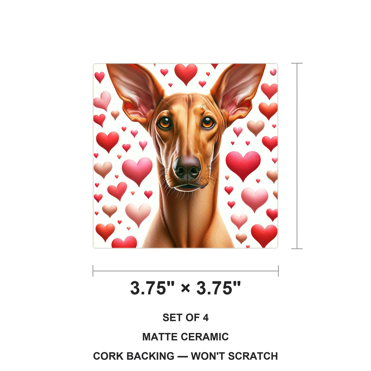 Pharaoh Hound ceramic coasters set of 4, size 3.75 inches