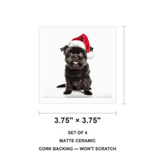 Affenpinscher ceramic coasters set of 4, size 3.75 inches