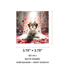 Havanese ceramic coasters set of 4, size 3.75 inches