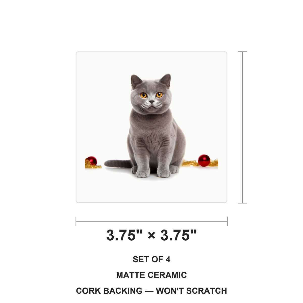 Chartreux Cat ceramic coasters set of 4, size 3.75 inches
