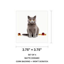 Chartreux Cat ceramic coasters set of 4, size 3.75 inches