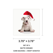 Dogo Argentino Puppy ceramic coasters set of 4, size 3.75 inches