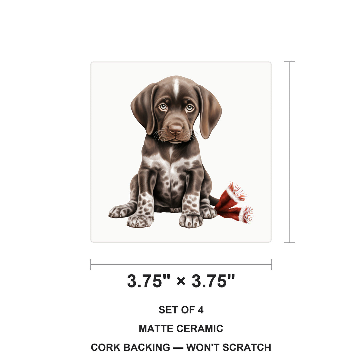 German Shorthaired Pointer Puppy Drawing ceramic coasters set of 4, size 3.75 inches