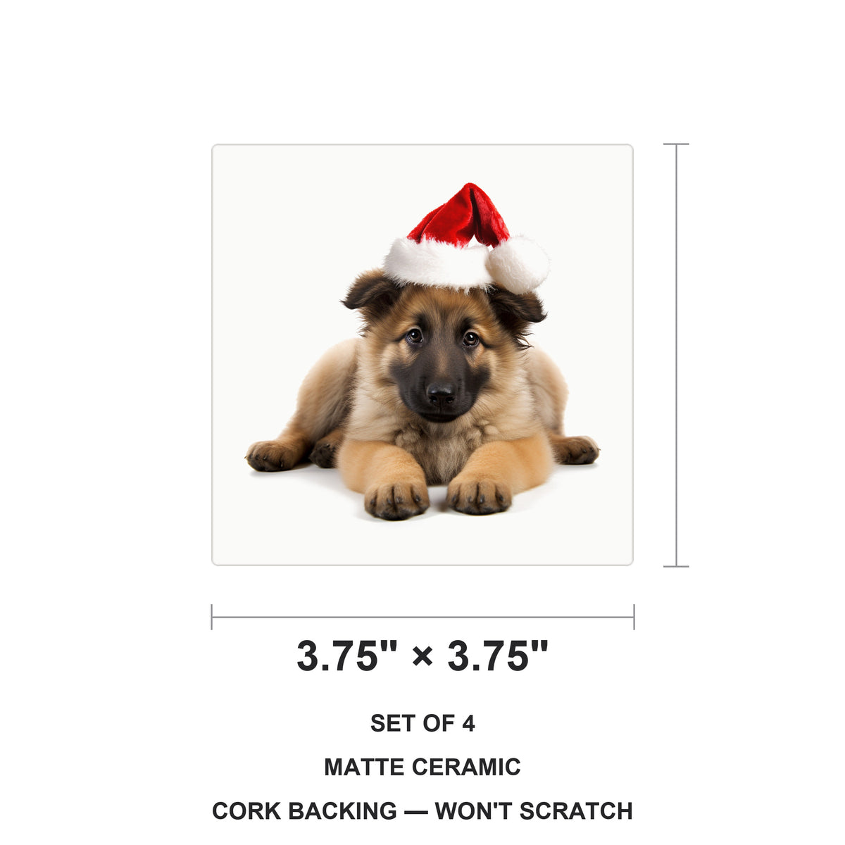 Belgian Tervuren Puppy ceramic coasters set of 4, size 3.75 inches