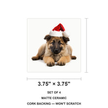 Belgian Tervuren Puppy ceramic coasters set of 4, size 3.75 inches