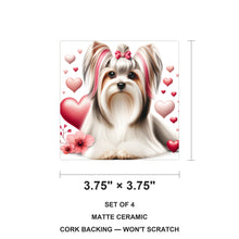 Biewer Terrier ceramic coasters set of 4, size 3.75 inches