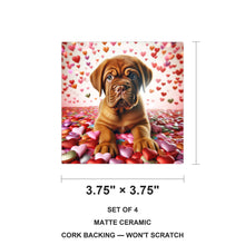 Dogue de Bordeaux ceramic coasters set of 4, size 3.75 inches