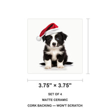 Border Collie Puppy ceramic coasters set of 4, size 3.75 inches