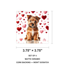 Norfolk Terrier ceramic coasters set of 4, size 3.75 inches