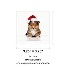 Shetland Sheepdog Puppy ceramic coasters set of 4, size 3.75 inches