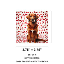 Nova Scotia Duck Tolling Retriever ceramic coasters set of 4, size 3.75 inches