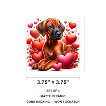 Rhodesian Ridgeback ceramic coasters set of 4, size 3.75 inches