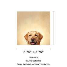 Labrador Retriever Portrait ceramic coasters set of 4, size 3.75 inches