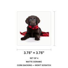 Flat-Coated Retriever Puppy ceramic coasters set of 4, size 3.75 inches
