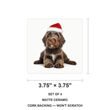 Wirehaired Pointing Griffon Puppy ceramic coasters set of 4, size 3.75 inches