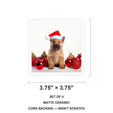 Norwich Terrier Puppy ceramic coasters set of 4, size 3.75 inches