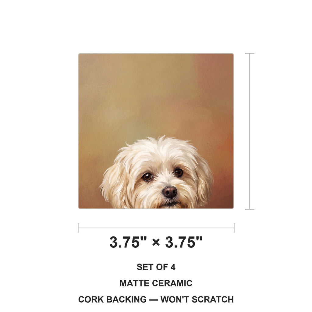 Maltese Portrait ceramic coasters set of 4, size 3.75 inches