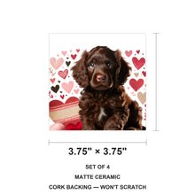 Boykin Spaniel ceramic coasters set of 4, size 3.75 inches