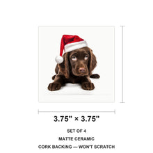 Field Spaniel Puppy ceramic coasters set of 4, size 3.75 inches