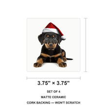 Beauceron Puppy ceramic coasters set of 4, size 3.75 inches