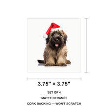 Briard Puppy ceramic coasters set of 4, size 3.75 inches